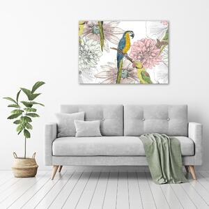 Foto obraz na plátně Papoušci a květiny oc-110762847