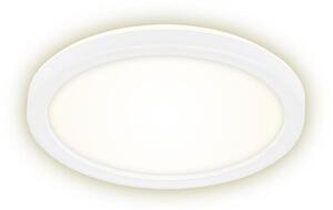 Briloner 7150-416 - LED Stropní svítidlo SLIM LED/12W/230V pr. 19 cm