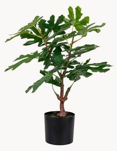 Umělá rostlina Fig
