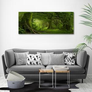 Foto obraz na plátně Tropická džungle oc-112054688