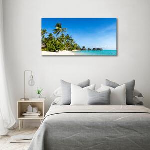 Fotoobraz na skle Pláž na Karibských ostrovech osh-112295720