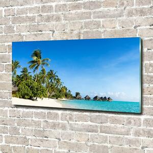 Fotoobraz na skle Pláž na Karibských ostrovech osh-112295720