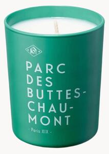 Vonná svíčka Parc Des Buttes-Chaumont (cedr, ambra)