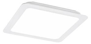 Rabalux 3170 - LED Podhledové svítidlo SHAUN LED/24W/230V 22 cm