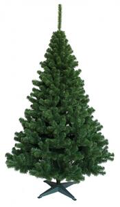 Vánoční stromek Jedle zelená 100 cm