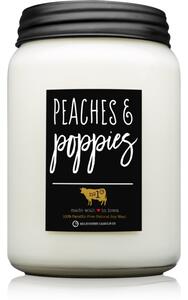 Milkhouse Candle Co. Farmhouse Peaches & Poppies vonná svíčka Mason Jar 737 g