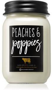 Milkhouse Candle Co. Farmhouse Peaches & Poppies vonná svíčka Mason Jar 368 g