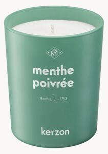 Vonná svíčka Menthe Poivrée (máta, šalvěj)