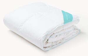 Péřová přikrývka Comfort, teplá