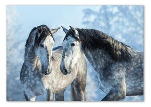 Fotoobraz na skle Zima šedý kůň osh-116887257