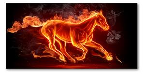 Moderní foto obraz na stěnu Kůň v plamenech osh-11746508