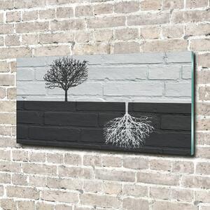 Foto-obrah sklo tvrzené Stromy na zdi osh-117821406