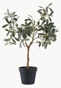 Umělá rostlina Olive