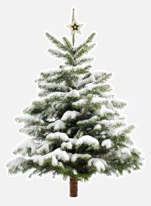 FUGU Samolepka na zeď Vánoční stromek Little tree přemístitelný Rozměr: Vánoční stromek Little tree S 33 x 45 cm