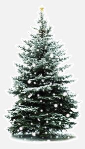 FUGU Samolepka na zeď Vánoční stromek Classic tree přemístitelný Rozměr: Vánoční stromek Classic S 25 x 43 cm