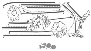 FUGU Samolepky na zeď- Sedmikrásky Barva: černá 070, Druhá barva: žlutá 020, Rozměr: 6 rostlin, od 25x57 cm do cca 32x184