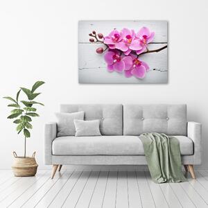 Foto obraz na plátně Orchidej a na stromě oc-118409675