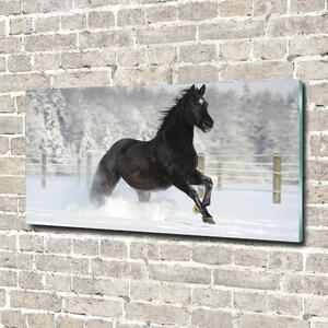Foto obraz sklo tvrzené Kůň ve cvalu sníh osh-118892522