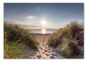 Foto obraz skleněný horizontální Mořské duny osh-119215284
