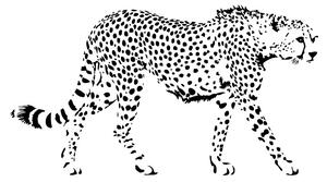 FUGU Gepard