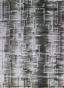 Berfin Dywany Kusový koberec Dizayn 2219 Grey ROZMĚR: 200x290