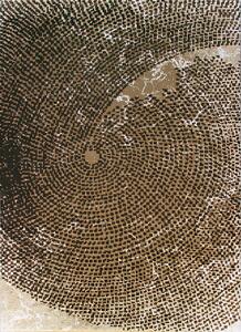 Berfin Dywany Kusový koberec Dizayn 2218 Beige - 80x150 cm