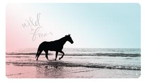 FUGU Kůň na pláži blue - přemístitelný plakát samolepicí Rozměr: M: (š x v) 107 x 60 cm