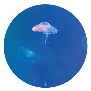 FUGU Přelepovací samolepka na zeď - Svítící medúza Rozměr: Malý kruh 41 cm