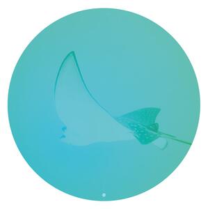 FUGU Přelepovací samolepka na zeď - Rejnok Podmořský svět Rozměr: Malý kruh 41 cm