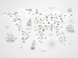 FUGU Dětská Mapa světa Dobrodružné objevy grey - tapeta na zeď Materiál: Digitální eko vlies - klasická tapeta nesamolepicí