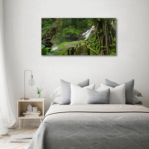 Foto obraz na plátně Vodopád v džungli oc-120475287