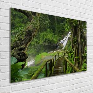 Foto obraz sklo tvrzené Vodopád v džungli osh-120475287