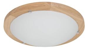 Spot-Light 4753474 - Stropní svítidlo FRIDA 2xE27/40W/230V