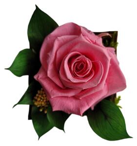 IDARY Stabilizovaná věčná růže v dřevěném květináči střední - růžová
