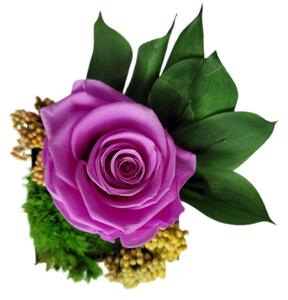 IDARY Stabilizovaná věčná růže v dřevěném květináči malá - fialová