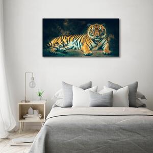 Foto obraz na plátně Tygr v jeskyni oc-121530926