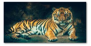 Foto obraz skleněný horizontální Tygr v jeskyni osh-121530926