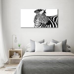 Foto obraz sklo tvrzené Zebra ve sněhu osh-121577688