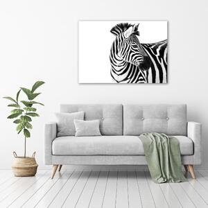 Foto obraz canvas Zebra ve sněhu oc-121577688
