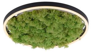 GREEN RITUS LED stropní svítidlo, 630 lm, 20 W