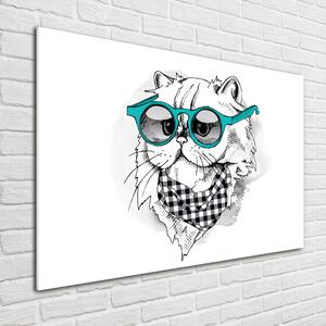 Fotoobraz na skle Kočka v brýlích osh-121703839