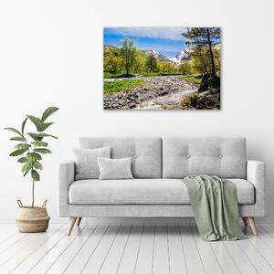Foto obraz na plátně Řeka v horách oc-121803886