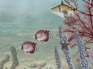 FUGU Fototapeta korálový útes - Coral Creatures Materiál: Digitální eko vlies - klasická tapeta nesamolepicí