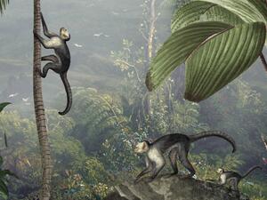 FUGUTapeta opice v džungli - Monkey Sanctuary Materiál: Digitální eko vlies - klasická tapeta nesamolepicí