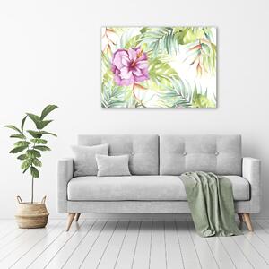 Foto obraz na plátně do obýváku Havajské květiny oc-123607543