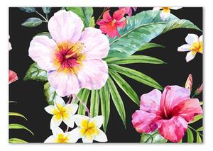 Foto obraz sklo tvrzené Havajské květiny osh-124413381
