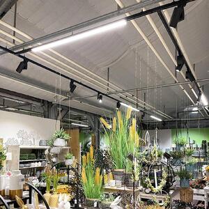 Deko-Light LED kolejnicové svítidlo LINEAR PRO černé 930 60 cm 3okruhové DALI, stmívatelný, Černá, Pracovna / kancelář, Hliník