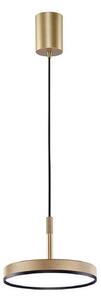 Závěsné světlo LED Don, zlatá, Ø 20 cm, kov