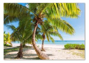 Foto obraz sklo tvrzené Tropická pláž osh-126132906