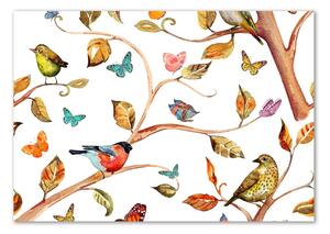 Foto-obraz na skle Ptáci a motýli osh-126221469
